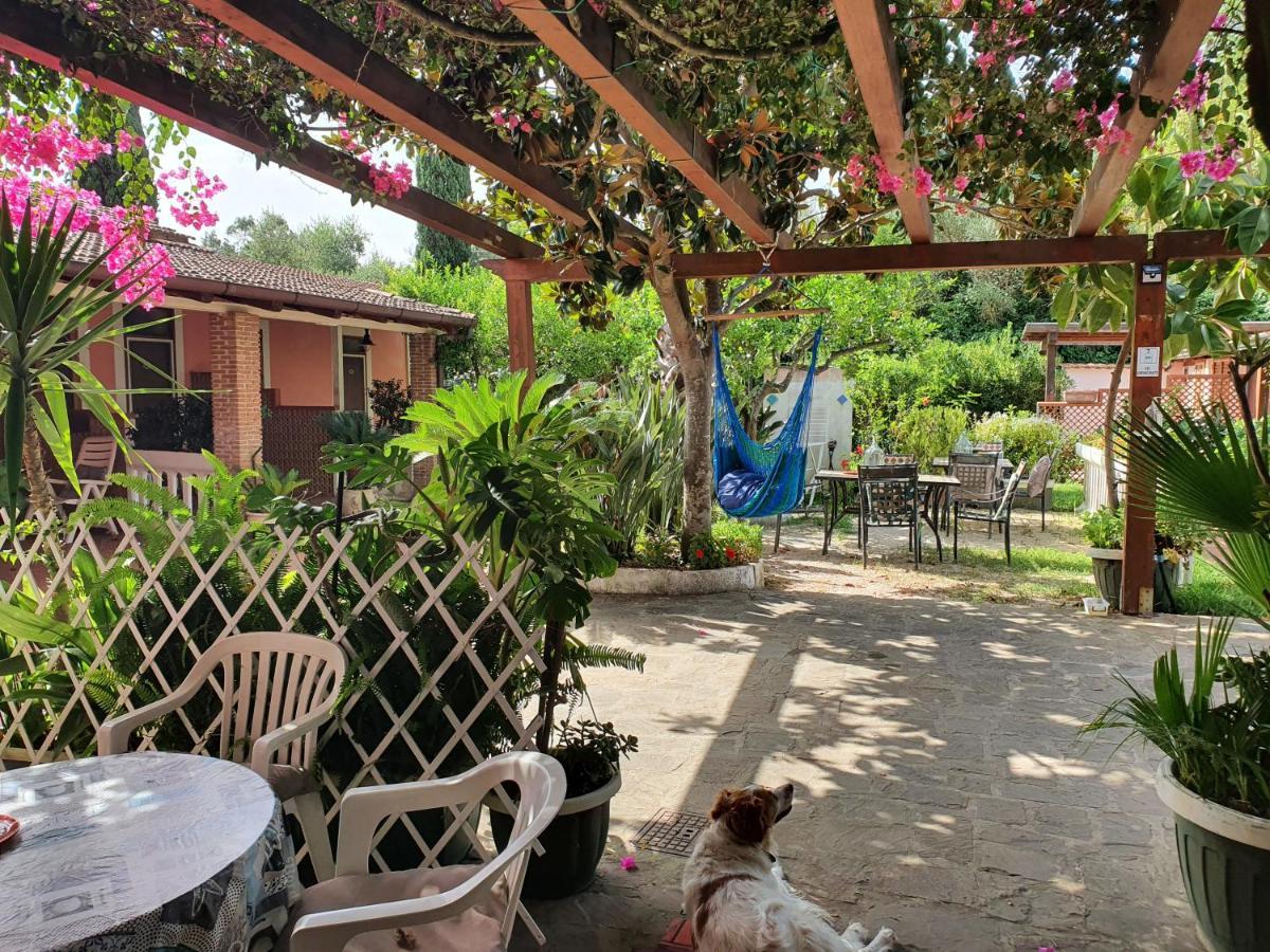 La Capannina Cilento Num 11 Hotel San Marco di Castellabate Eksteriør billede
