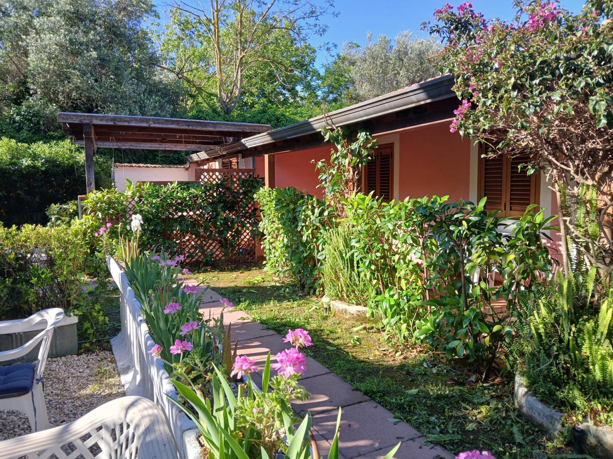 La Capannina Cilento Num 11 Hotel San Marco di Castellabate Eksteriør billede